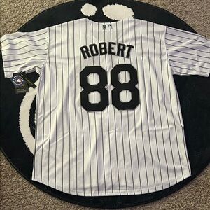 Louis Robert Jr Baseball Jersey Number 88